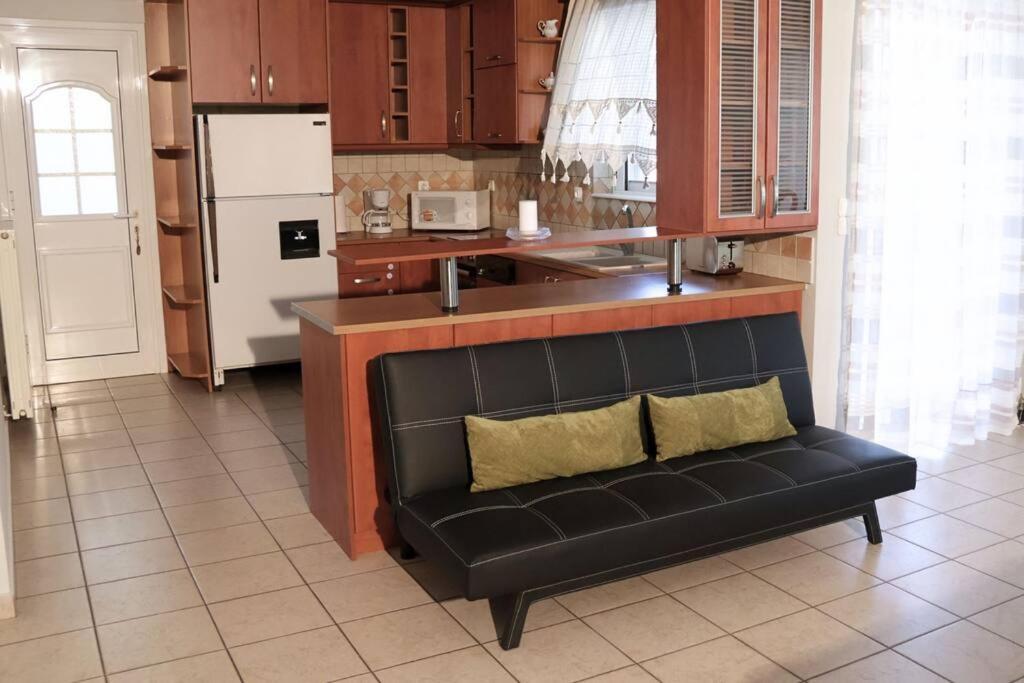 Villa Fina's House